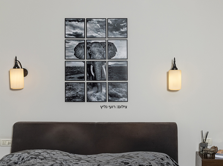 תמונת לופה פסיפס רועי גליץ