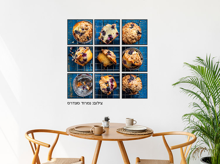 נמרוד סונדרס תמונת פסיפס של לופה