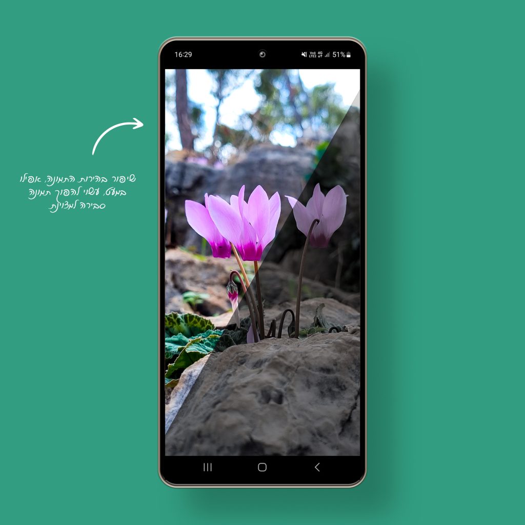דוגמא לעריכת תמונה בסמארטפון ושיפור התאורה - לופה